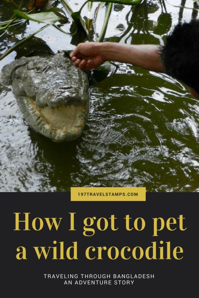 Petting crocodiles bangladesh