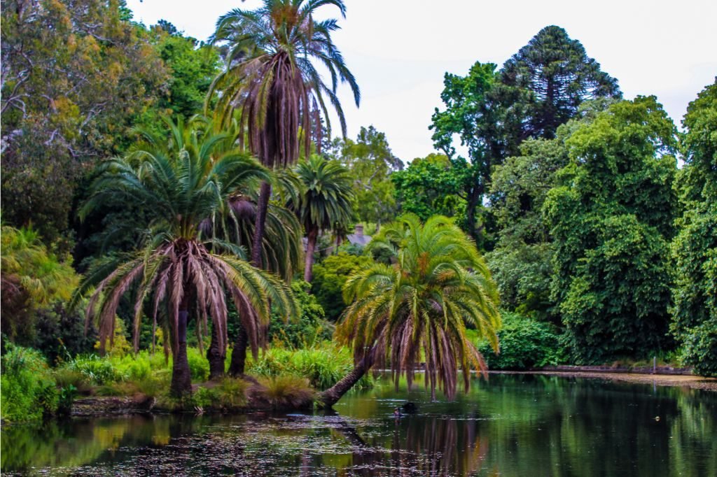 Melbourne itinerary - the botanical gardens are one of the top sights in Melbourne