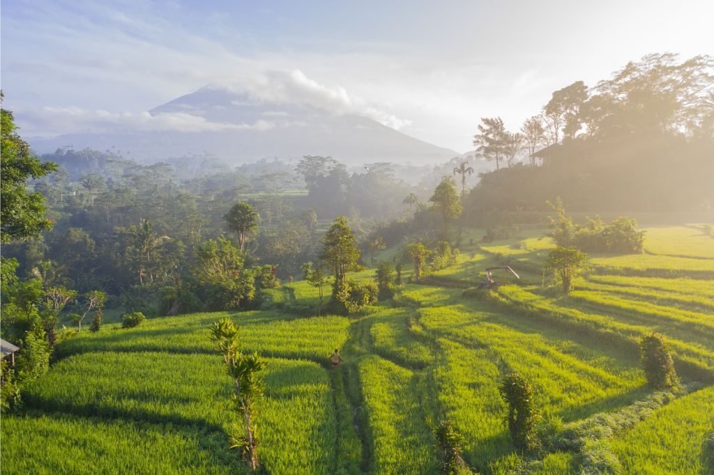 Mount-Agung-behind-rice-fields-near-Amed-Bali