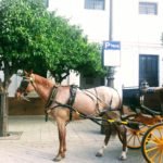 Seville Travel Inspiration Carriage parking in Seville