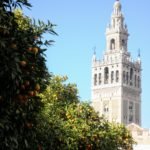 Seville Travel Inspiration The Giralda bell tower in Seville with orange trees